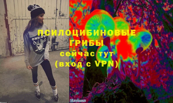 бошки Беломорск