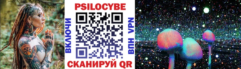 где можно купить наркотик Высоковск Псилоцибиновые грибы мухоморы